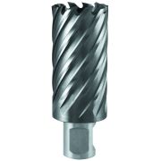 Фреза по металлу 20х55мм Weldon 19мм TCT 1110.009800