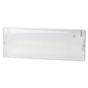 Светильник светодиодный DPA-301-1-65 IP65 40LED 3ч аварийный постоянный Эра Б0051843